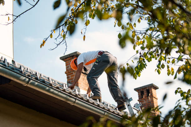 Best Roof Gutter Cleaning  in Albers, IL