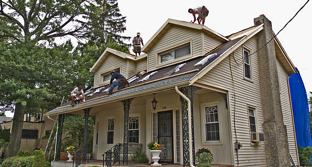 Best Roofing Contractor Near Me  in Albers, IL